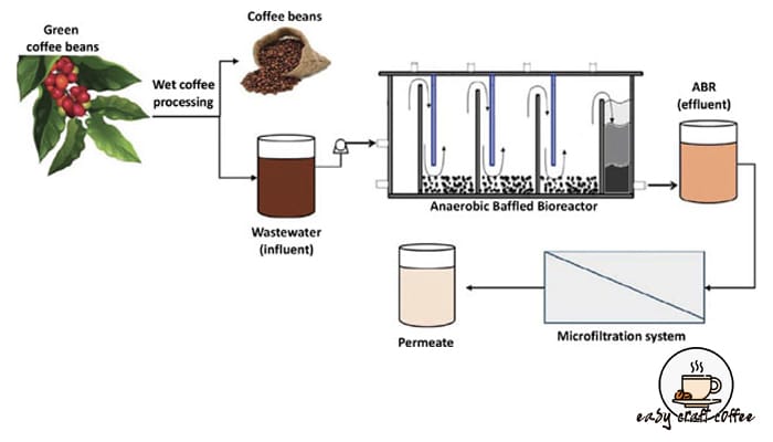 Anaerobic coffee processing method and unique fermentation techniques