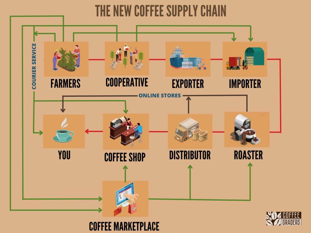 Coffee supply chain procurement and supplier sourcing overview