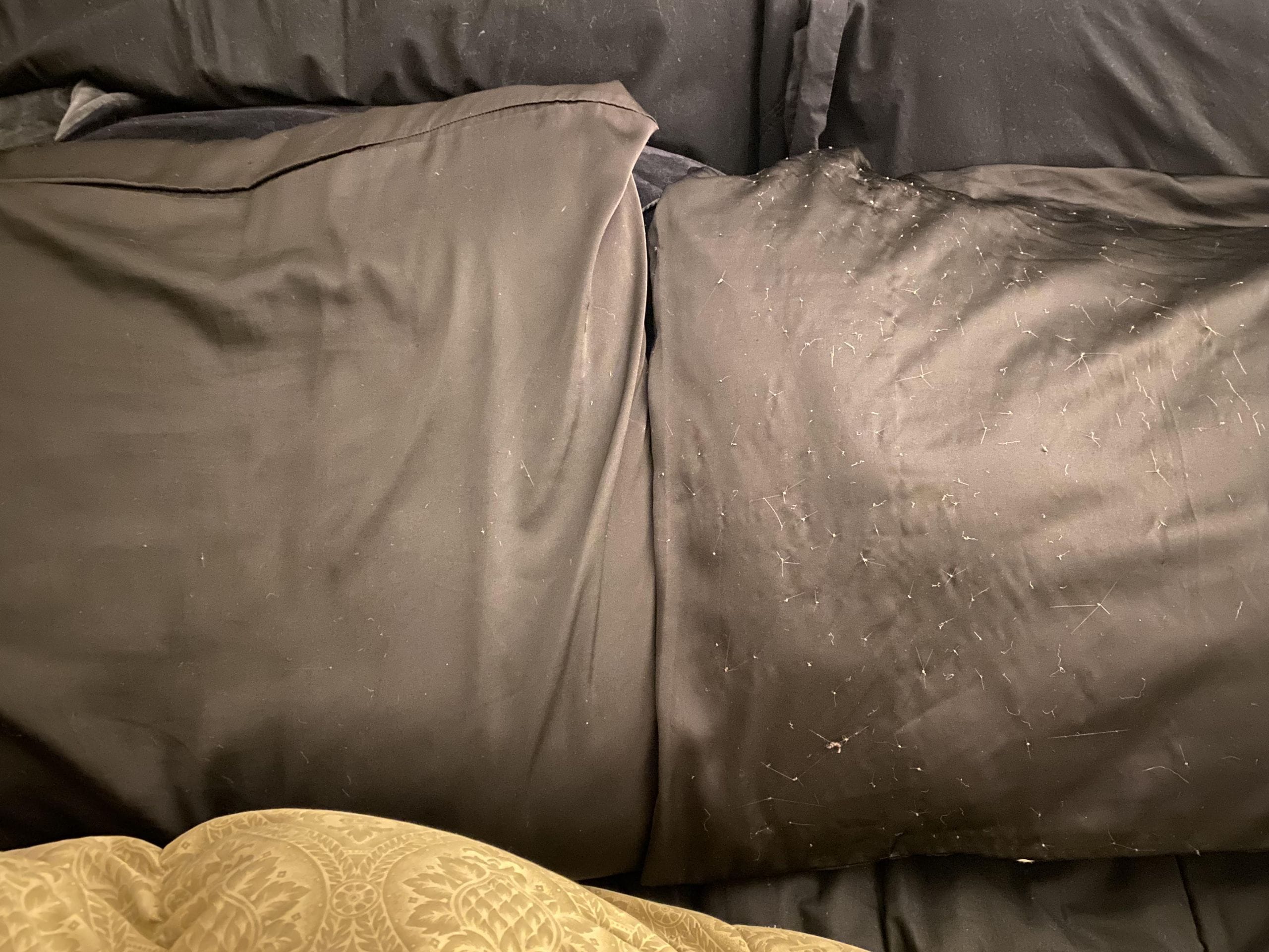 Silk pillow showing pilling damage over time from regular use