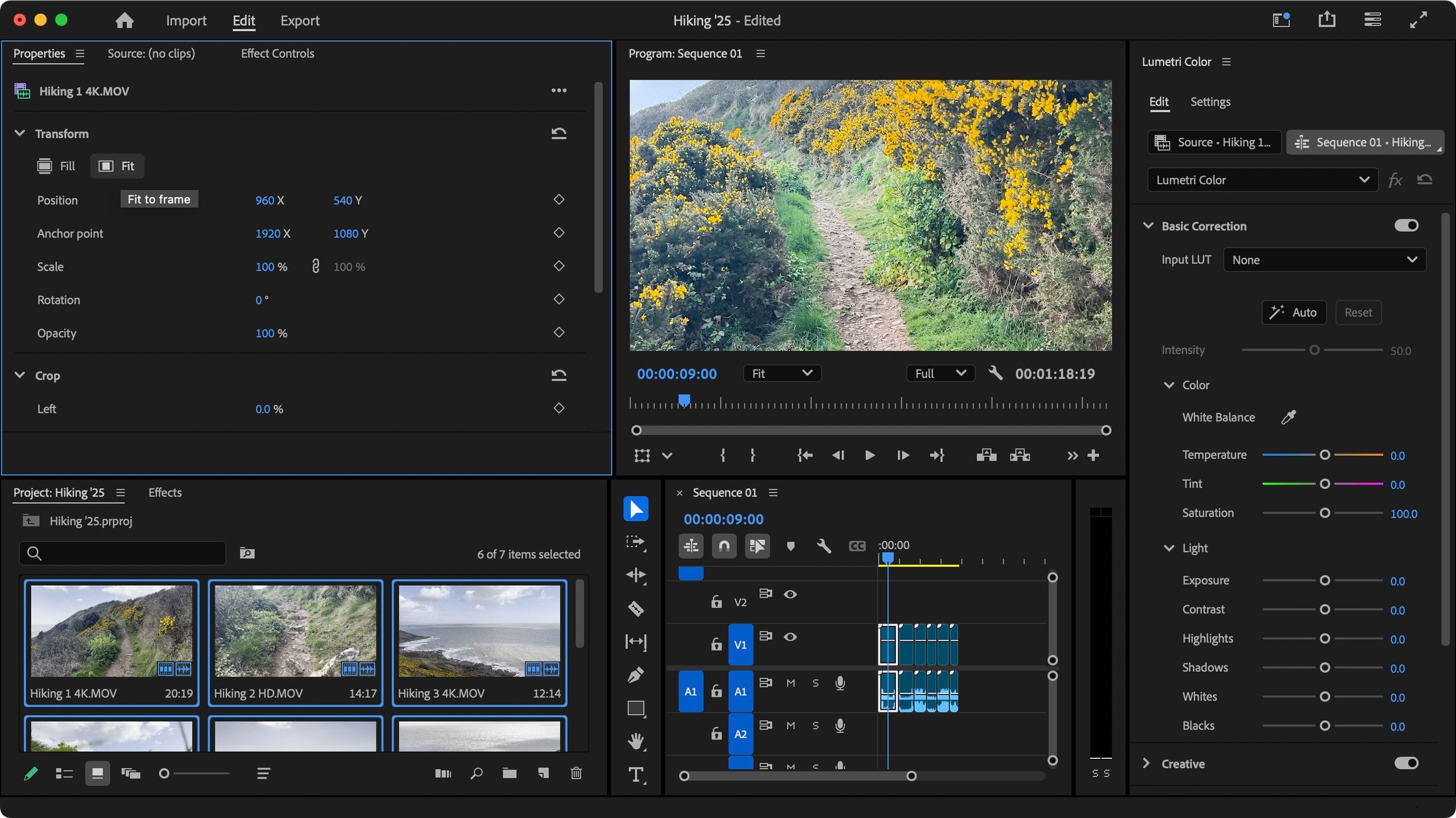 Adobe Premiere Pro 2025 professional video editing timeline and interface