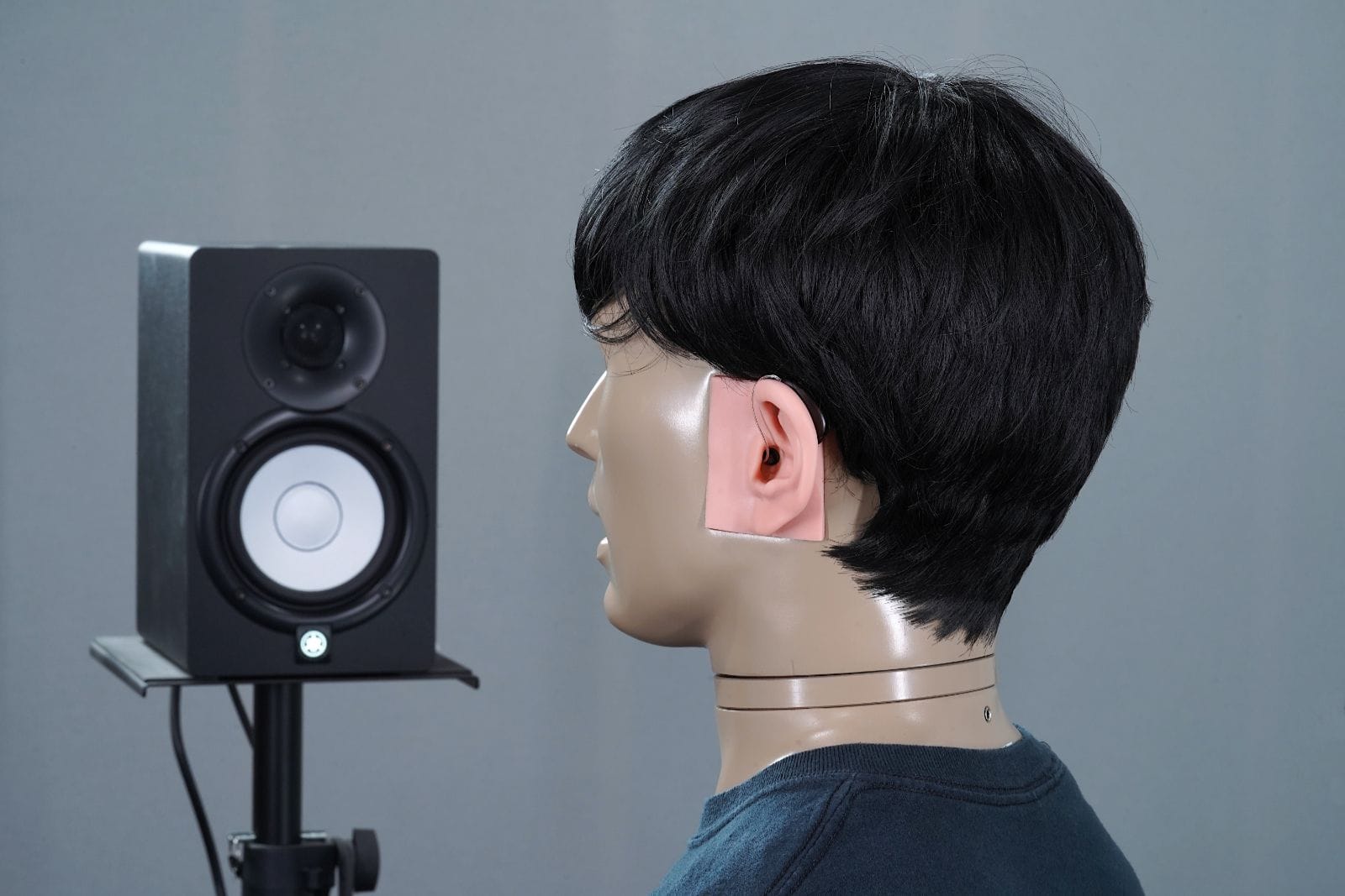Audicus Omni 2 hearing aids review
