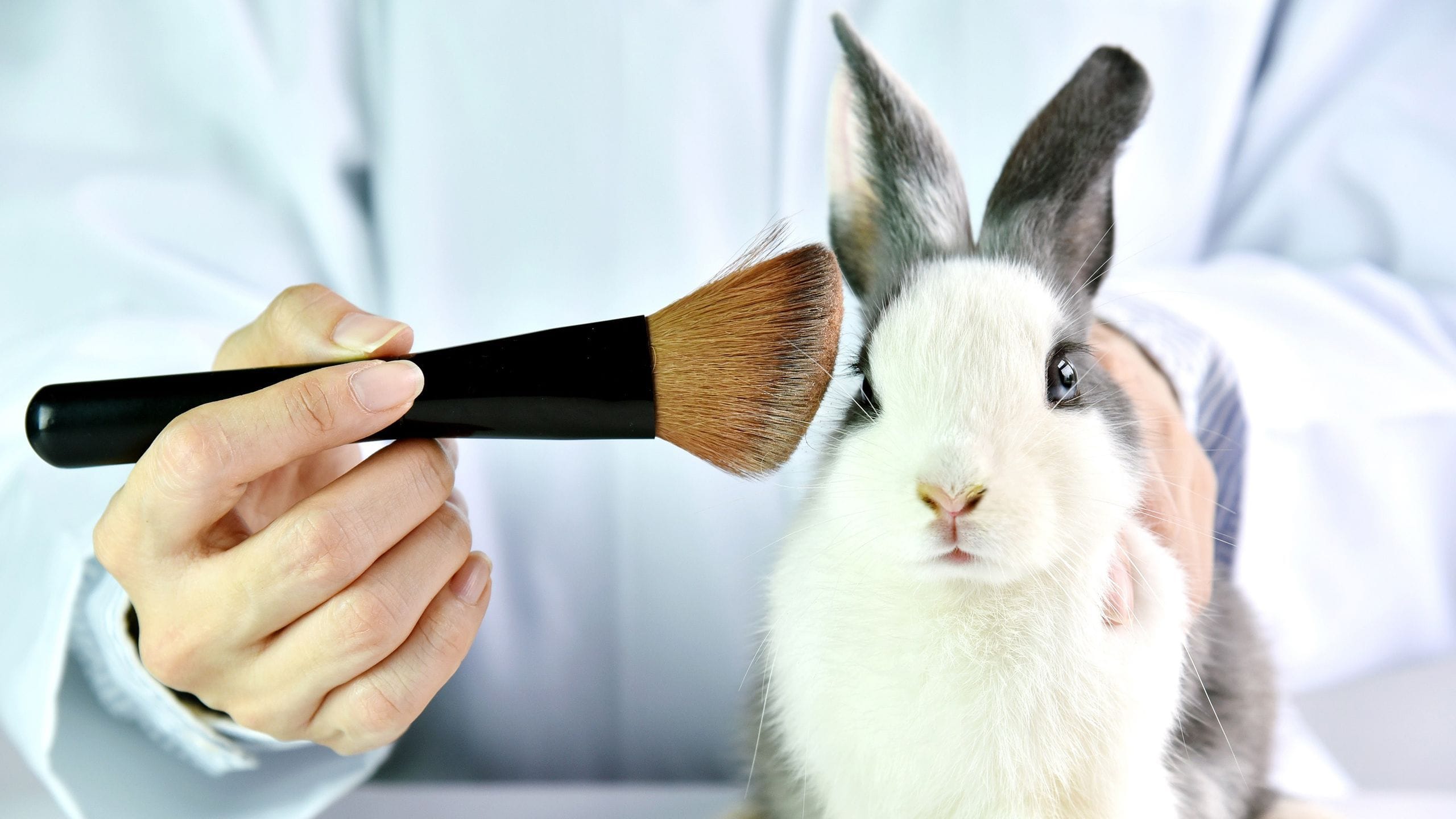 California Cruelty-Free Cosmetics Act banning animal testing
