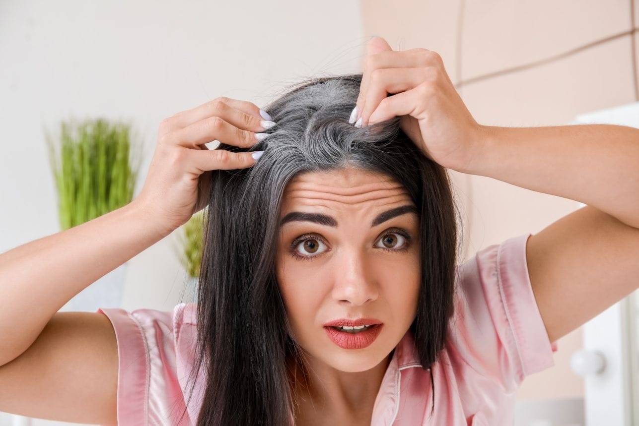 Organic henna hair dye for covering gray hair naturally
