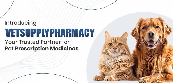 cfimages-VetSupply-Review-2026-Is-It-a-Legit-Deal-or-a-Risky-Gamble-couponsscout.com_