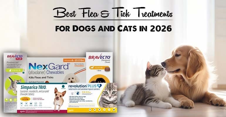 Best flea and tick treatments for dogs and cats showing popular pet medication brands