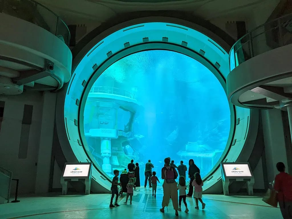 SeaWorld Abu Dhabi aquarium and marine life center on Yas Island