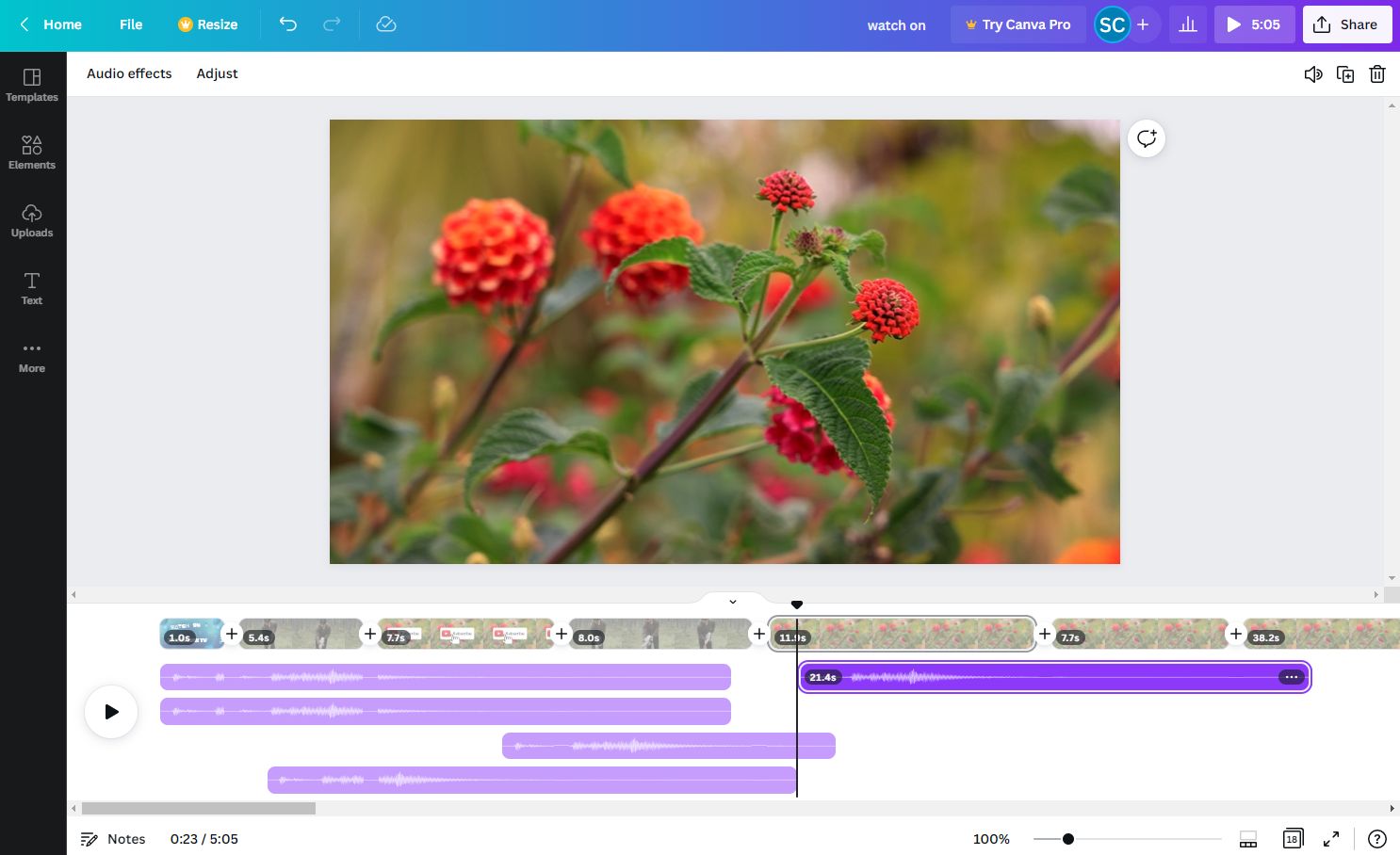 Canva Pro video editor interface displaying free-form timeline canvas with multi-layer scene editing