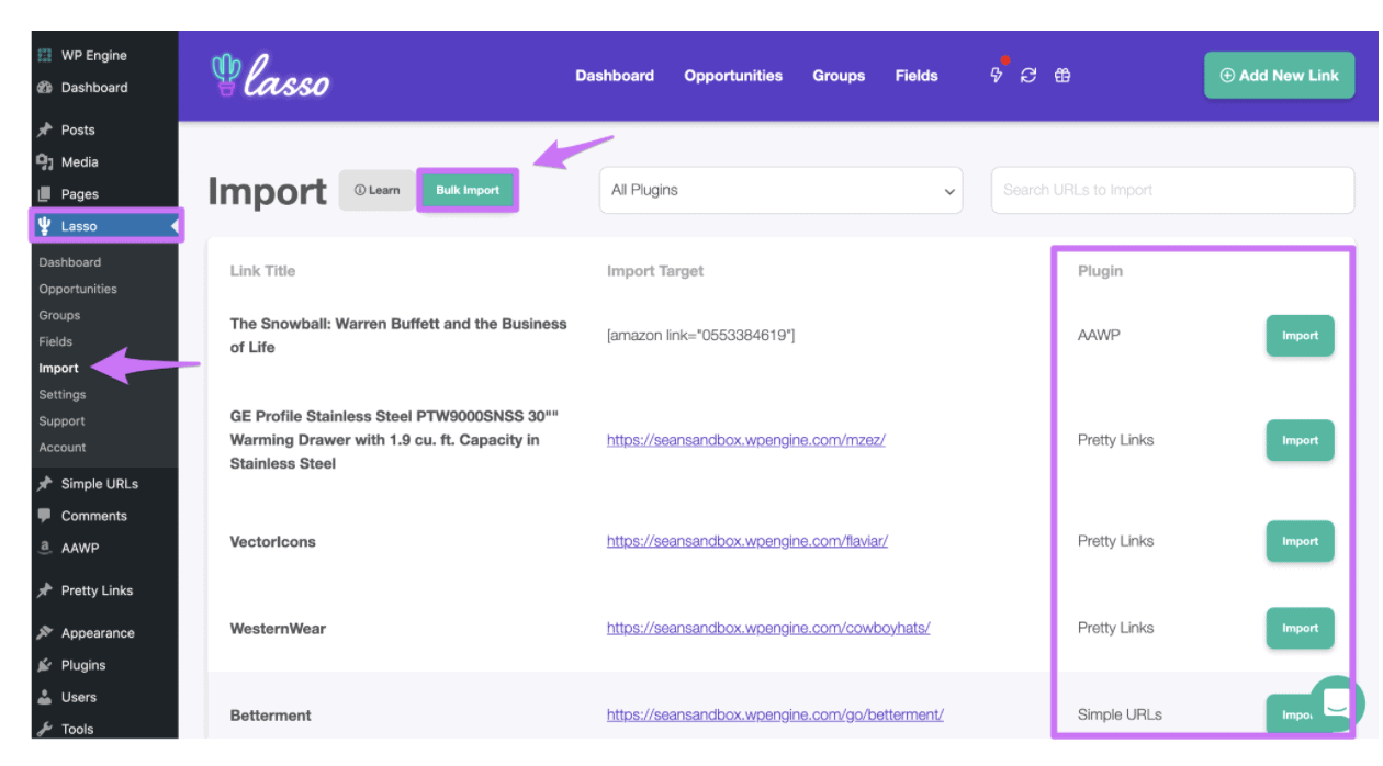 Lasso plugin in action helping bloggers optimize affiliate income through product displays