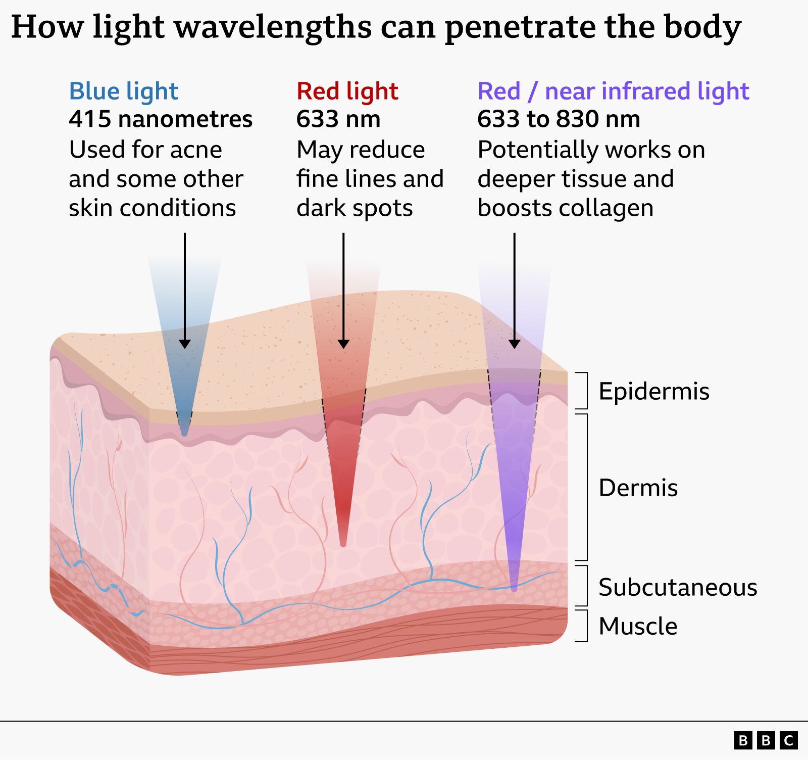 Photobiomodulation skin penetration diagram showing 633nm red and 830nm near-infrared wavelengths reaching dermis