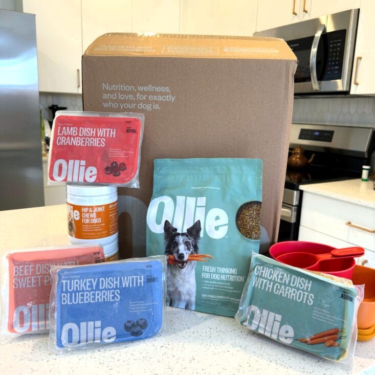 Ollie fresh dog food meal plan packaging with personalized portion containers