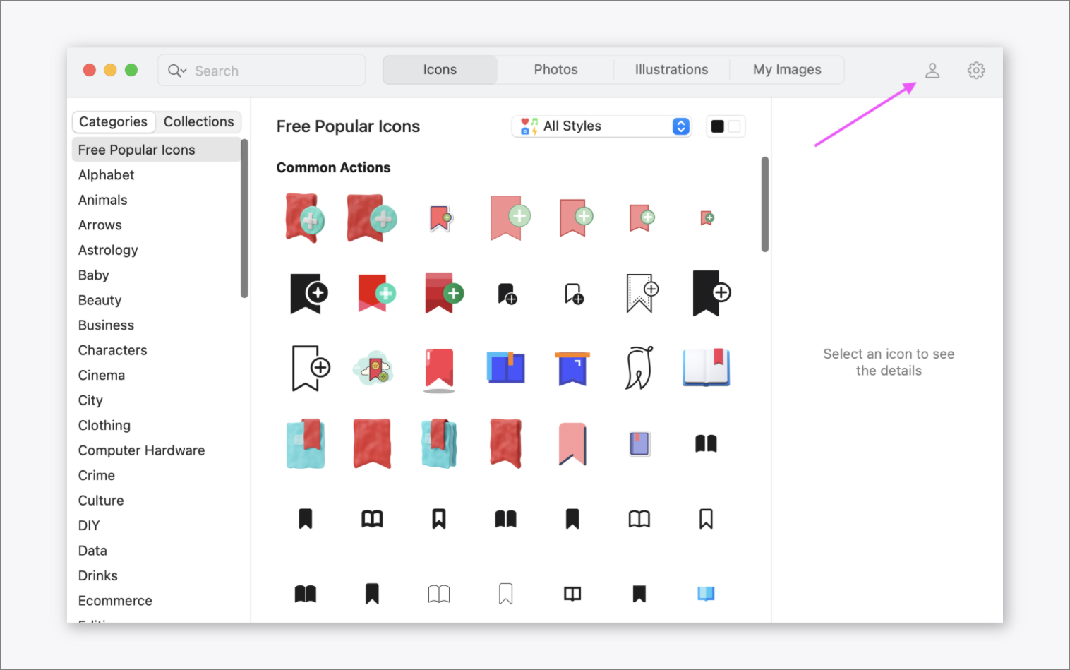 Pichon desktop asset manager for macOS showing offline icon library browser interface