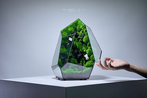 Luxury preserved moss terrarium in geometric glass vessel on desk as premium biophilic decor centerpiece
