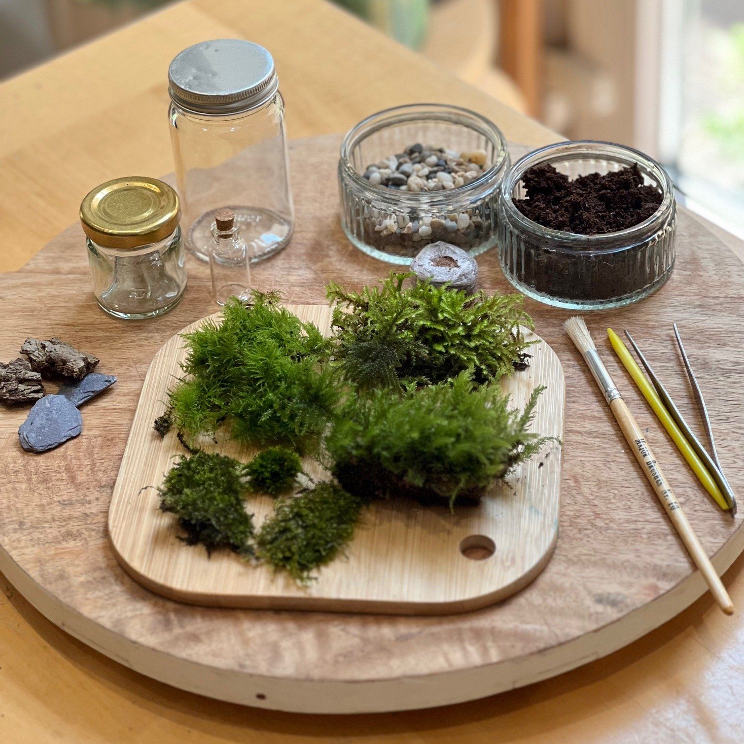 DIY moss terrarium project showing affordable hobbyist approach to building biophilic decor at home