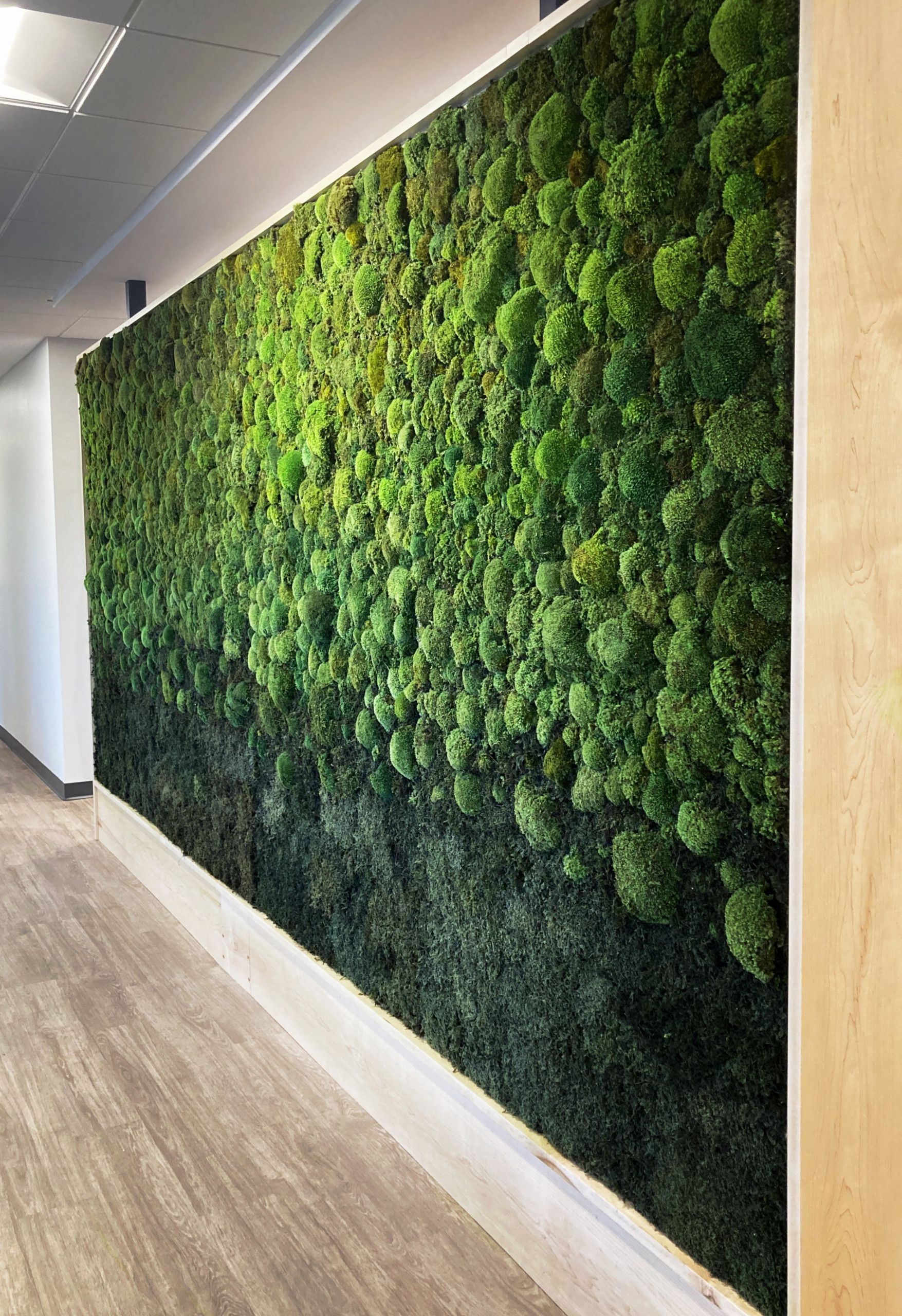 Premium preserved moss wall panel installation enhancing modern office interior design space