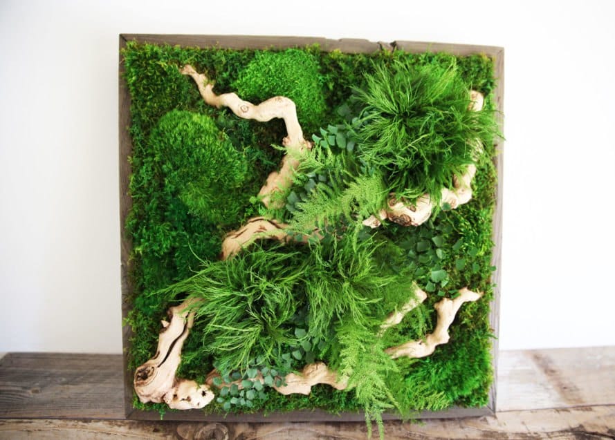 Artisan Moss custom green wall plant painting installation showing preserved moss and lichen composition