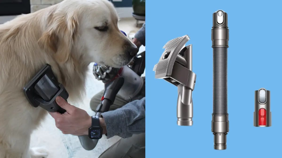 Dyson Pet Grooming Kit attachment compared with Neakasa all-in-one grooming vacuum setup