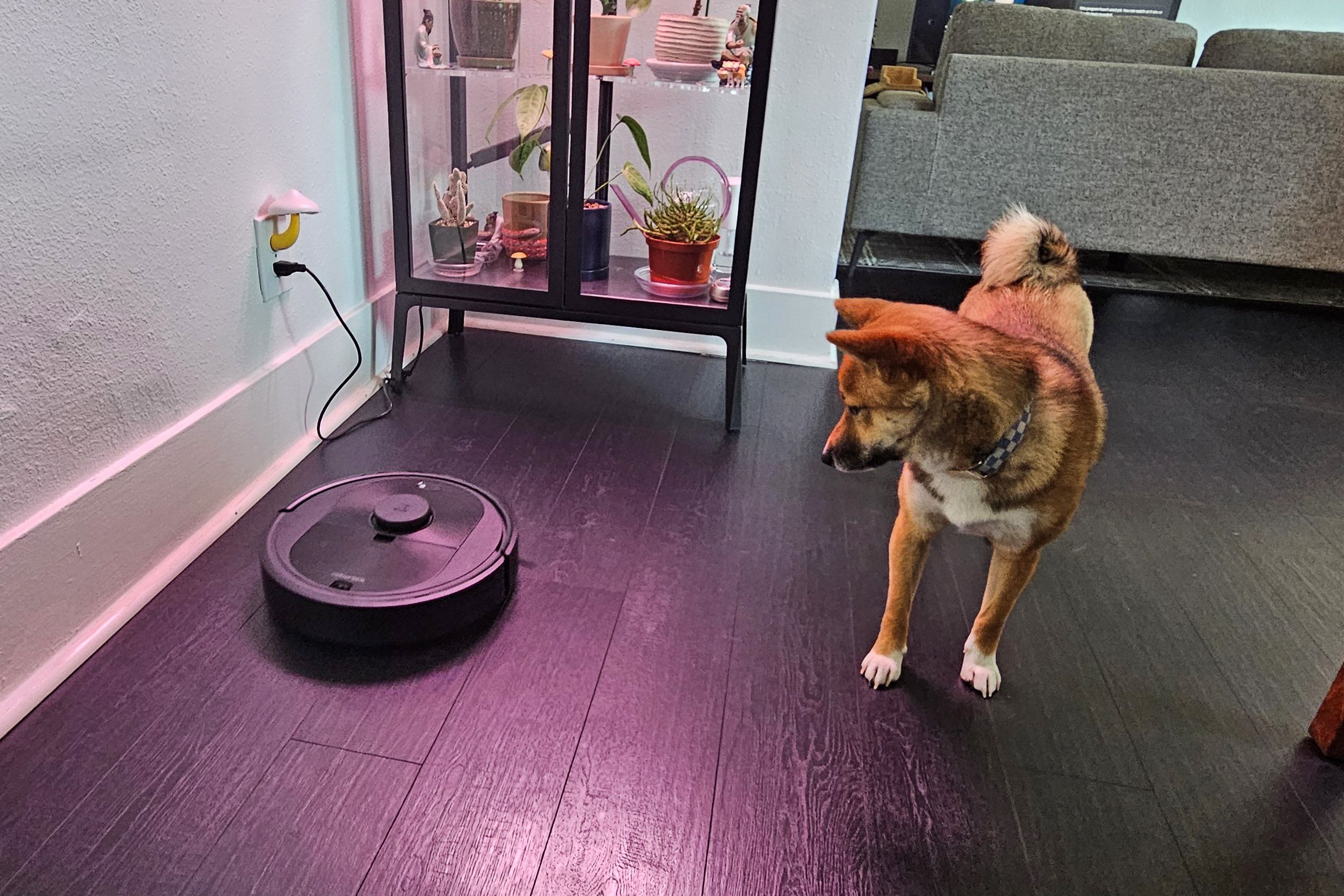 Premium robot vacuum cleaning pet hair on hardwood floor in a modern home