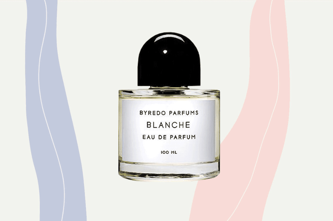Luxury sandalwood fragrance comparison featuring niche perfume bottles on a styled flat lay background
