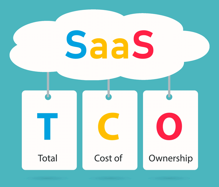 SaaS Total Cost of Ownership calculation breakdown showing hidden fees and subscription overages