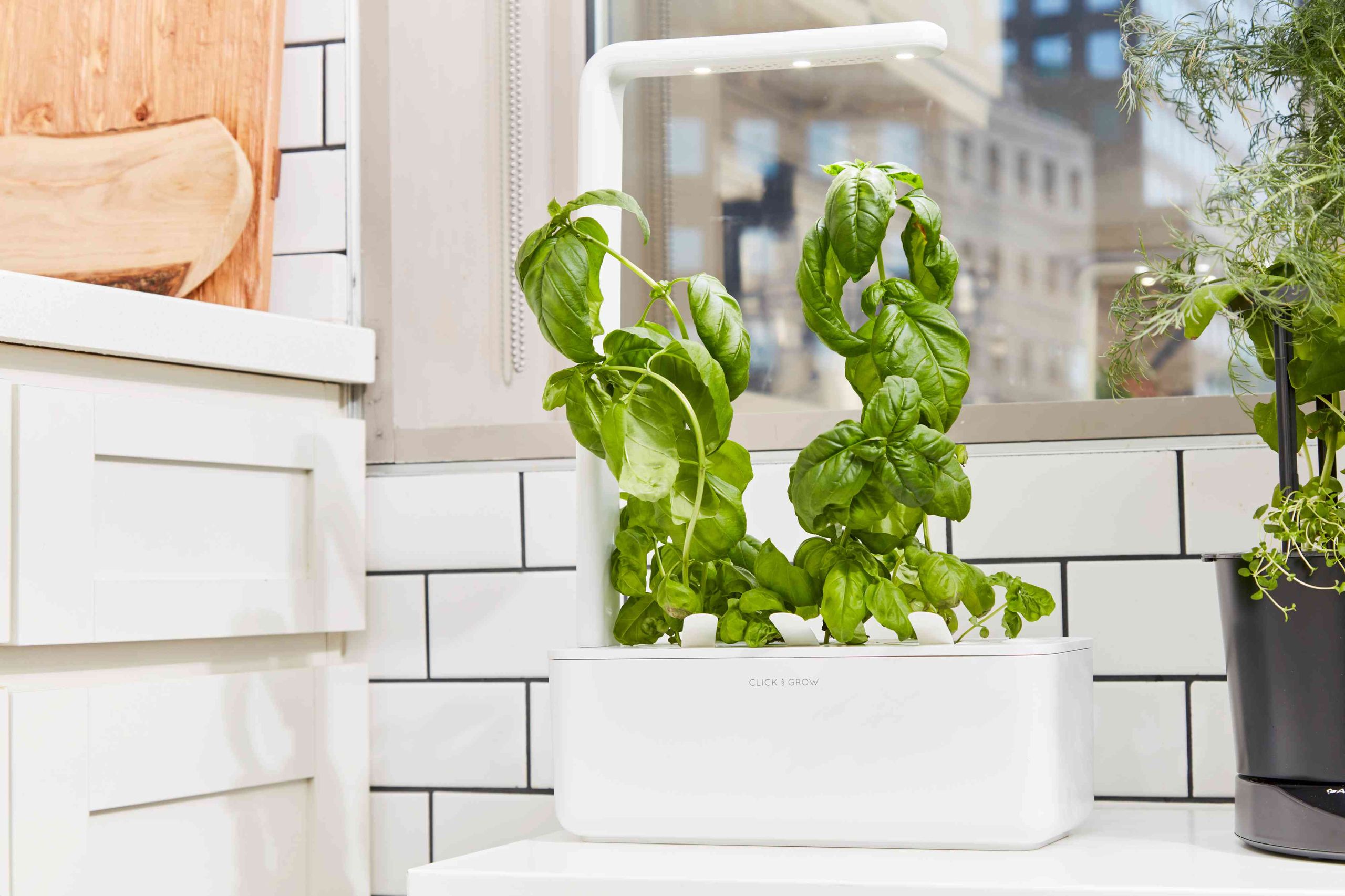 Modern smart indoor garden system with fresh herbs and LED grow lights on countertop