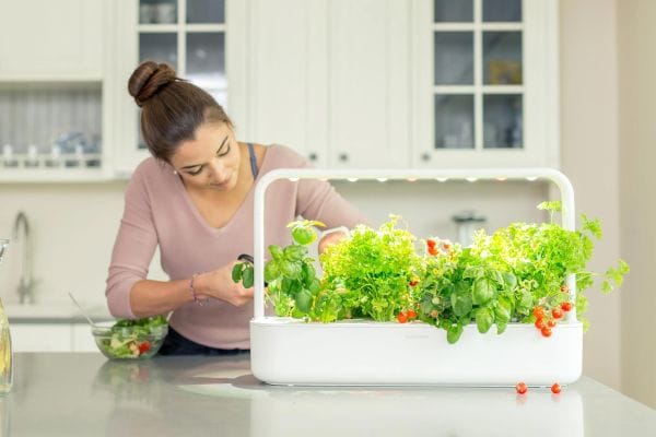 Click and Grow Smart Garden 9 Pro closed ecosystem system with proprietary seed pods on kitchen counter