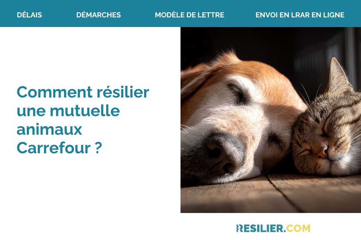 Carrefour Assurance Animaux FR coupon code tested July 2026 – Coupons Scout