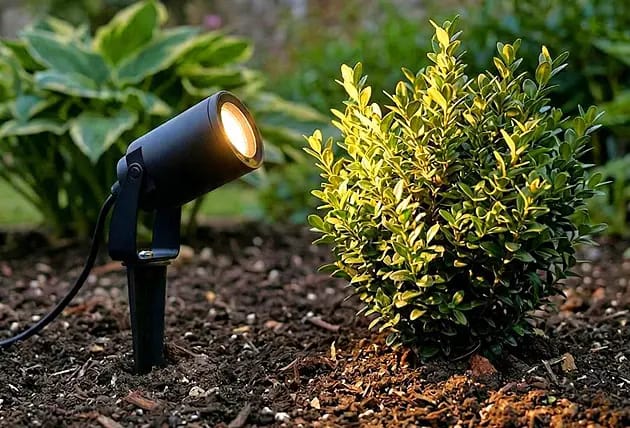 Lights 4 Living official product July 2026