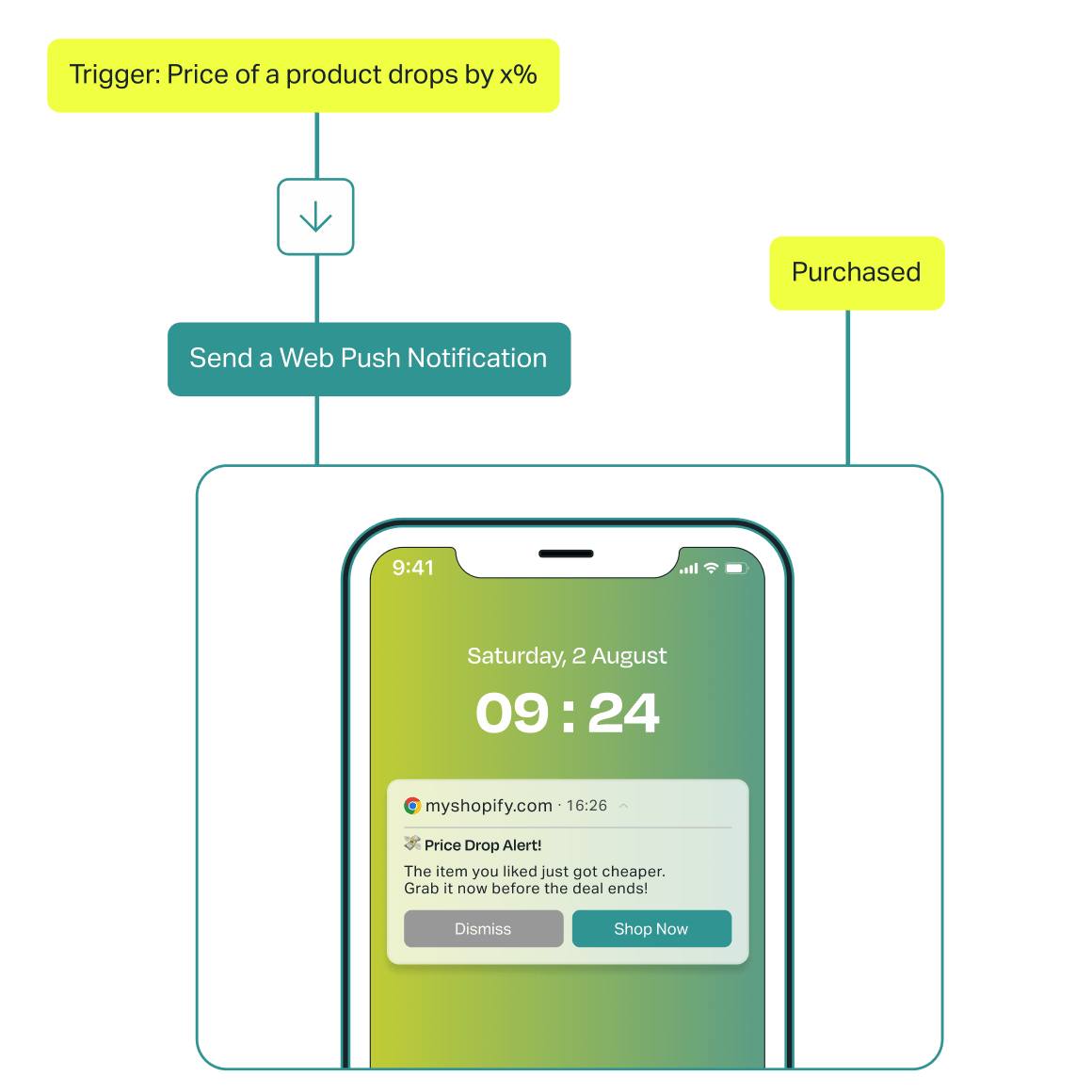 PushOwl official product July 2026