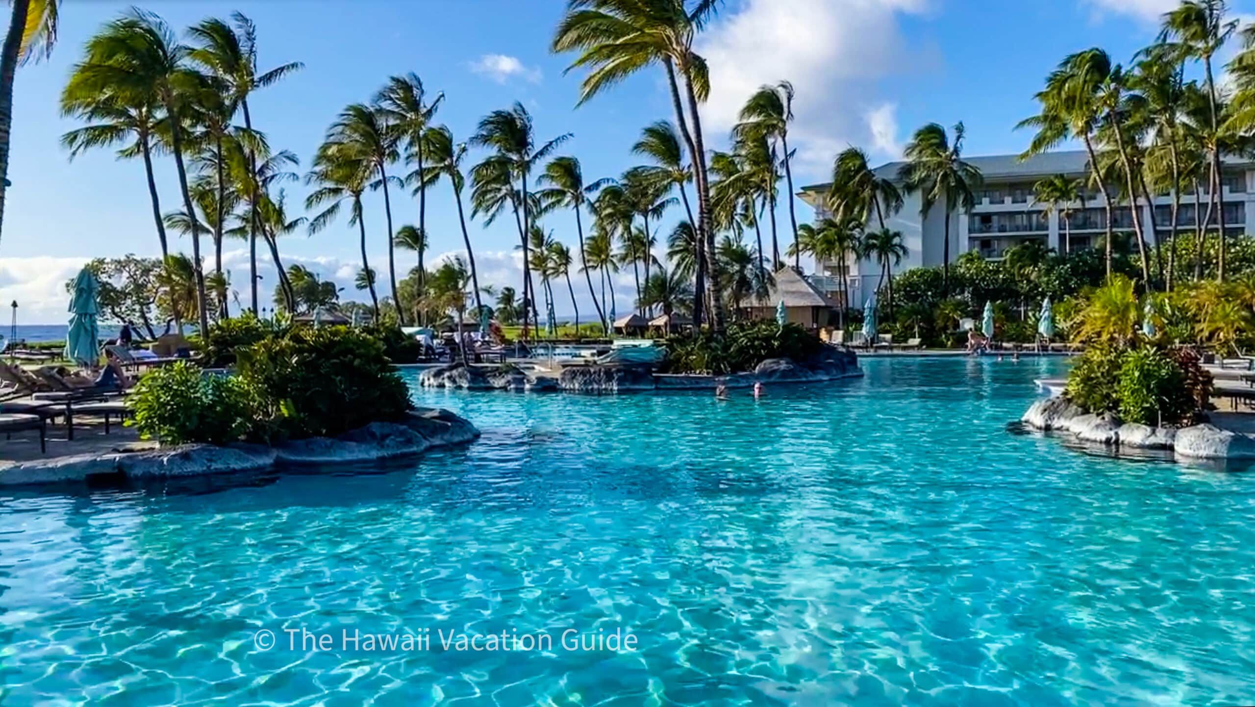 Luxury resort hotel with palm trees pool illustrating hidden resort fee destinations