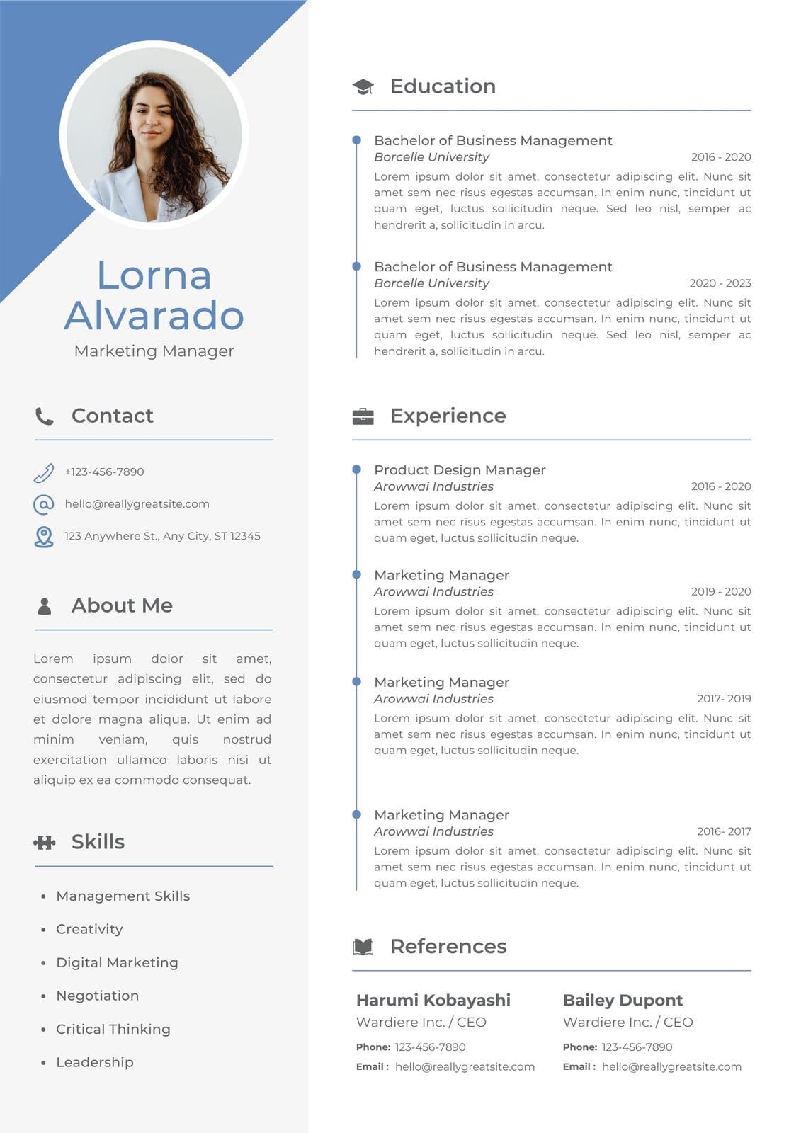 Modern professional resume templates showcasing clean layout typography and industry-appropriate design styles