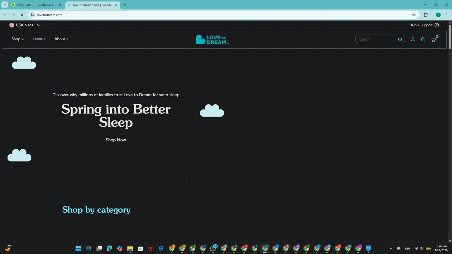 Sleep Dreams coupon code tested July 2026 – Coupons Scout