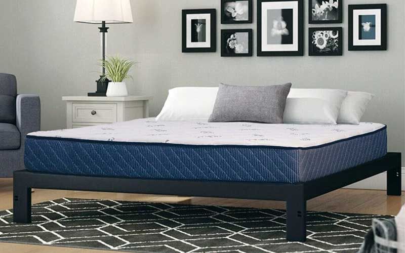 Sleep Dreams official product July 2026