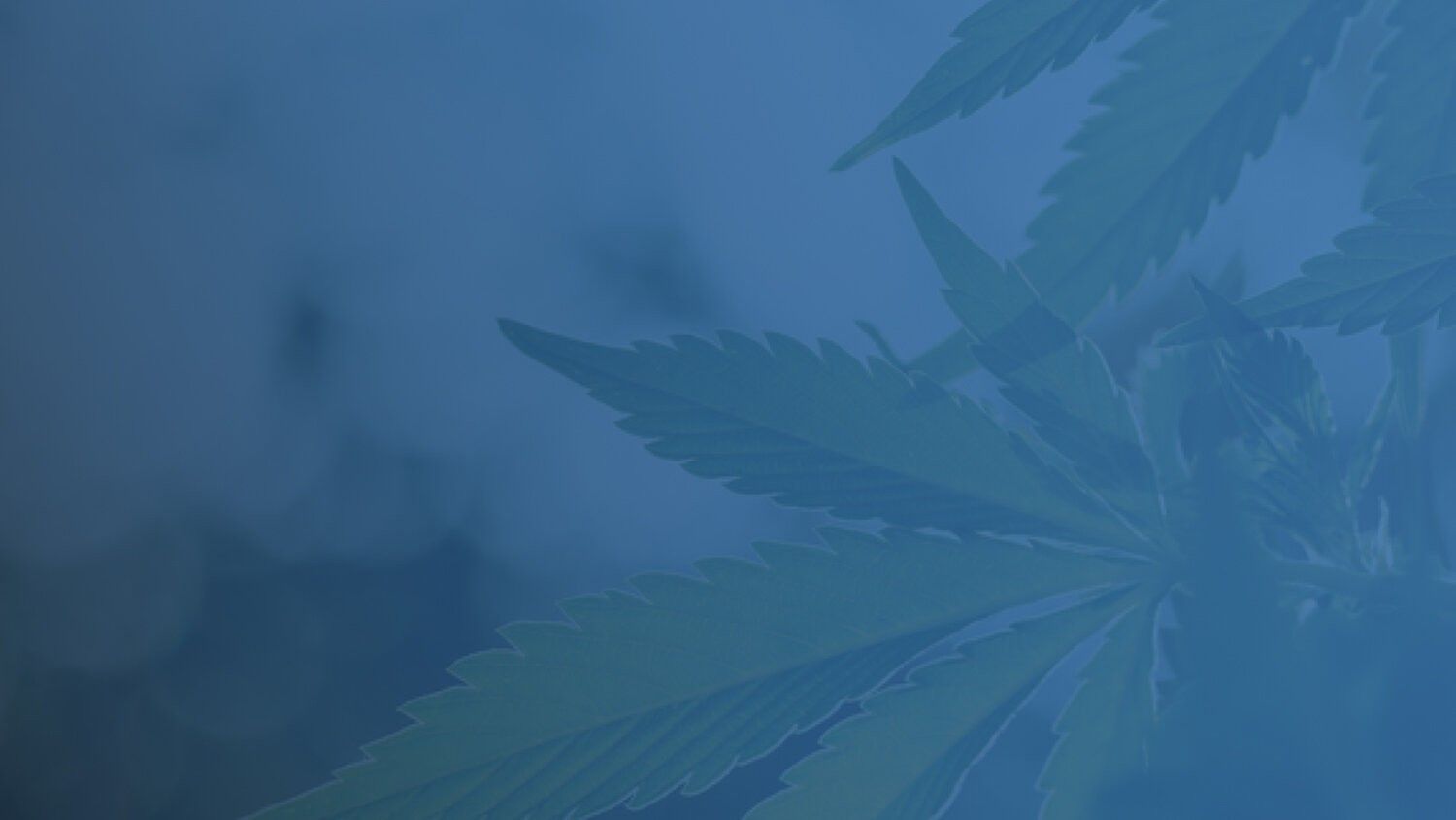 Atomix Medical Banner