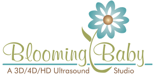 Blooming Baby Logo