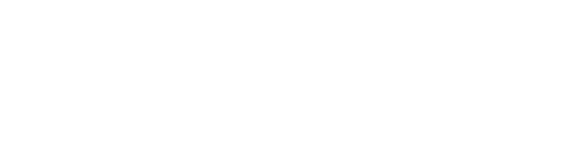 Buster And Punch Logo