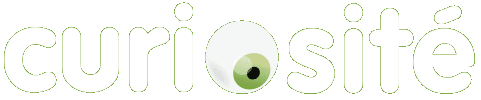 Curiosite logo