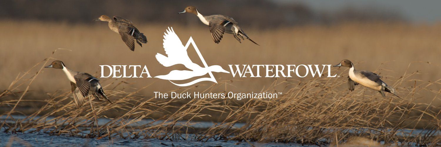 Delta Waterfowl Banner
