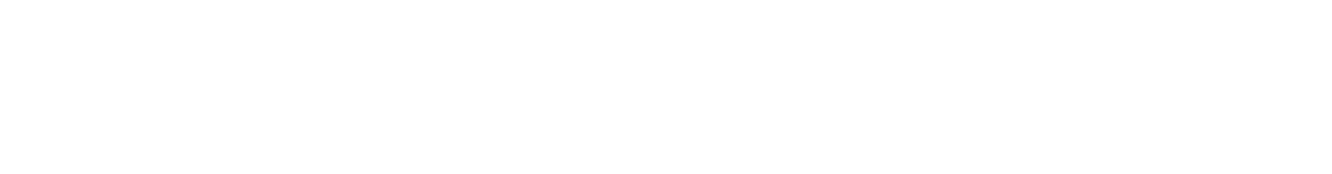 DudeRobe Logo