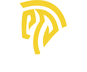 EasySMX Logo