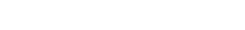 Flextail Logo