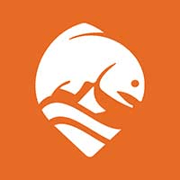FlyFishFinder logo