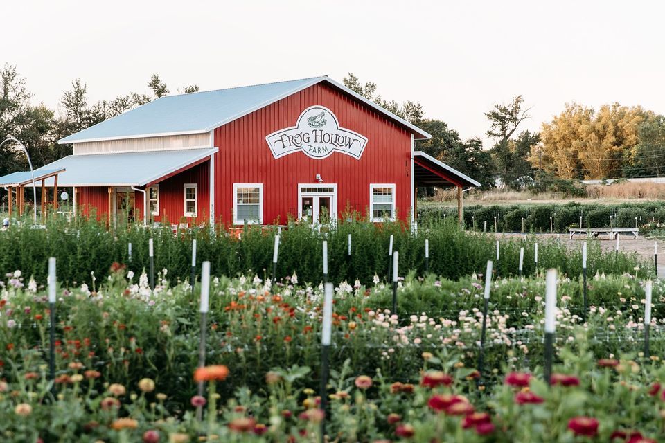 Frog Hollow Farm Banner