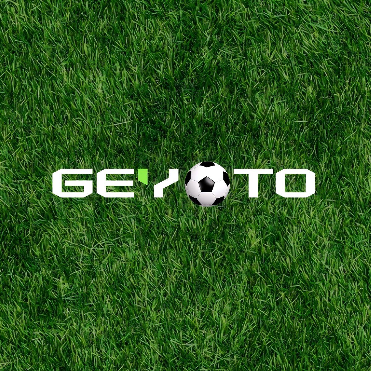 Geyoto Logo