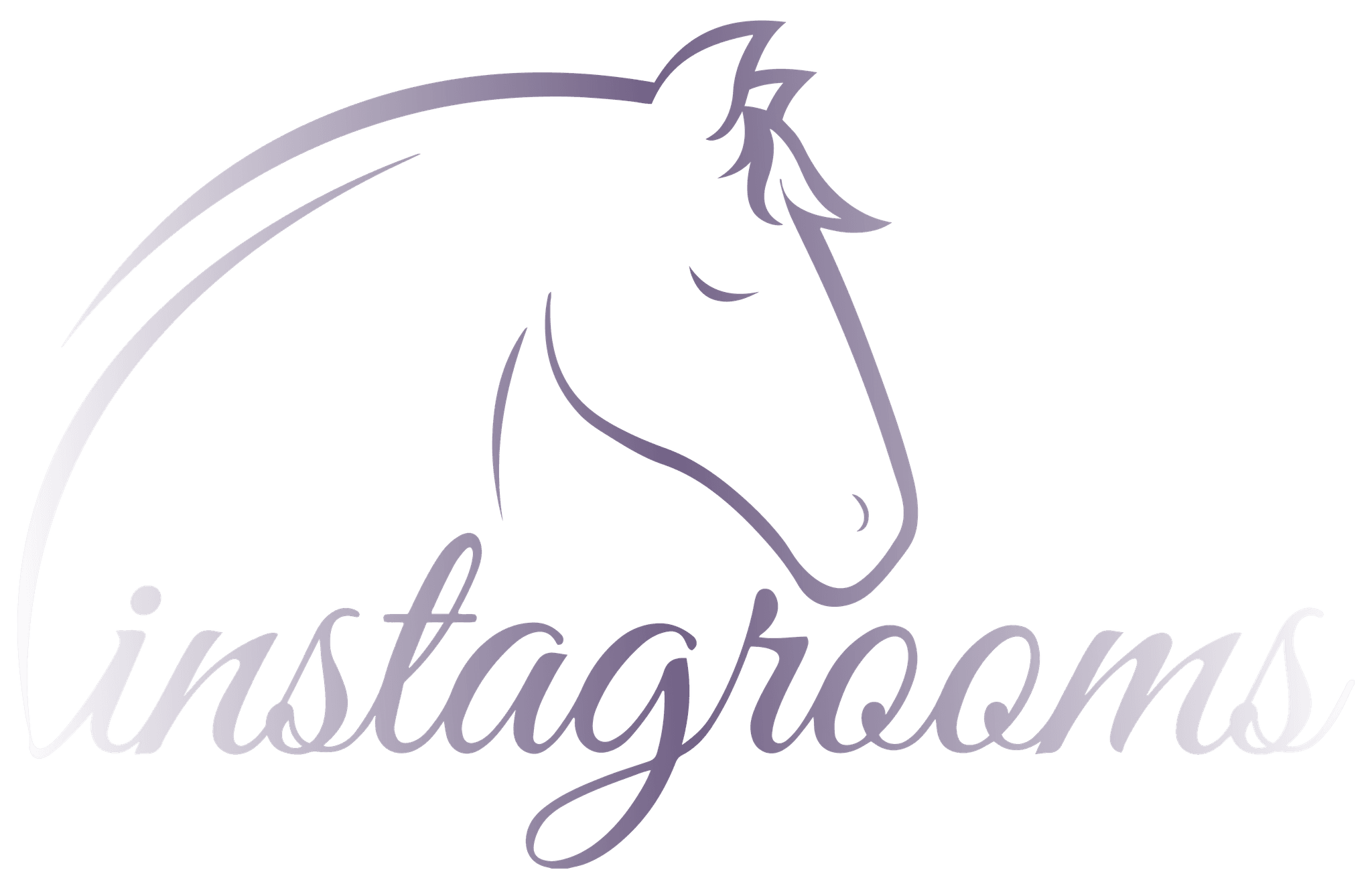Instagrooms Logo