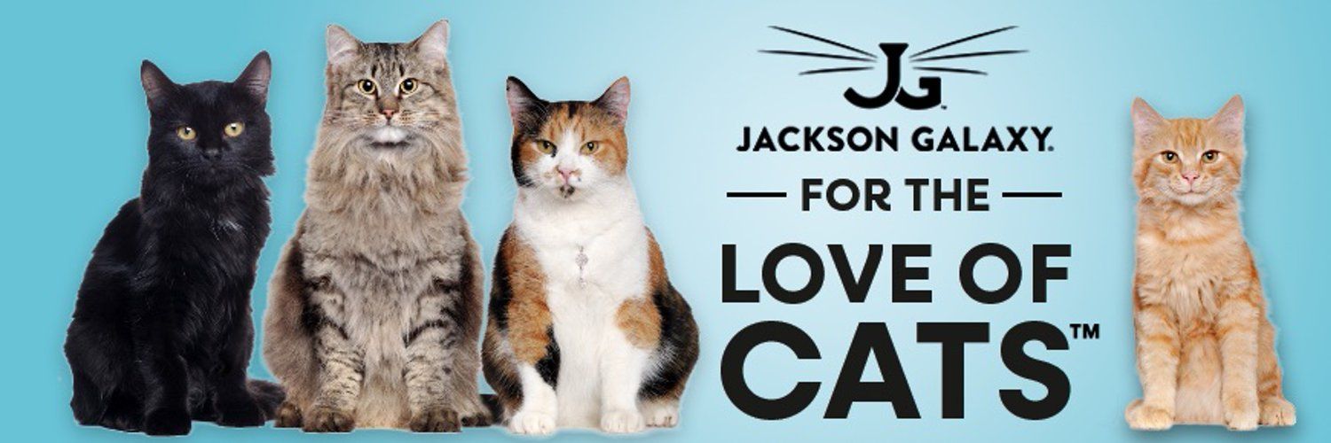 Jackson Galaxy Banner