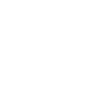 JustHype Logo