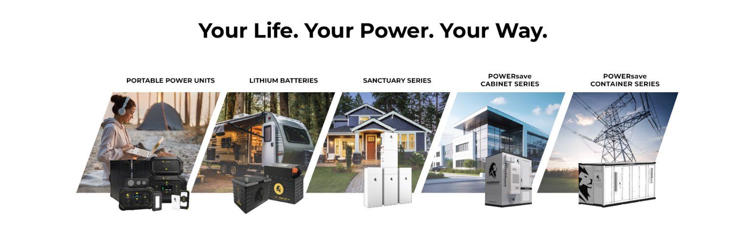 Lion Energy Banner