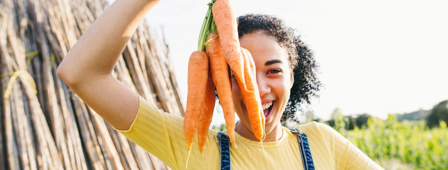 MegaFood Banner