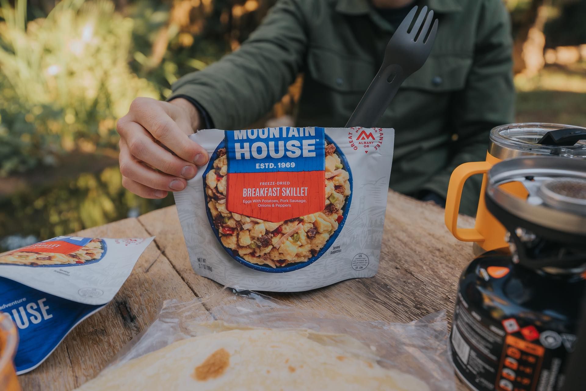 Mountain House Banner