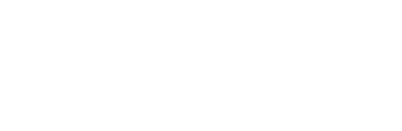 Nectar Sunglasses Logo